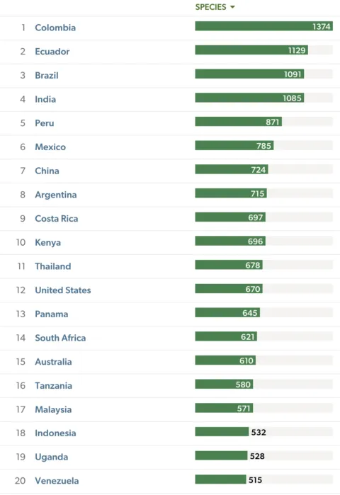 gbbc-ebird-top-countries-bird-count