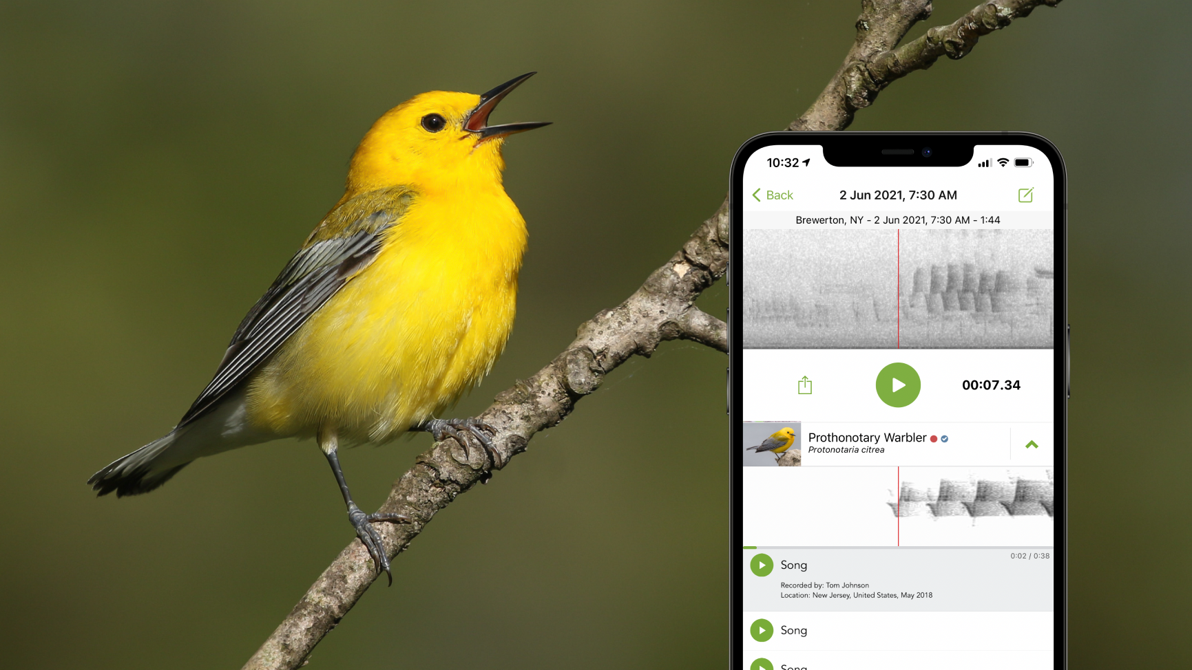Using AI and Simple Tech to Make People Notice Wetlands Again