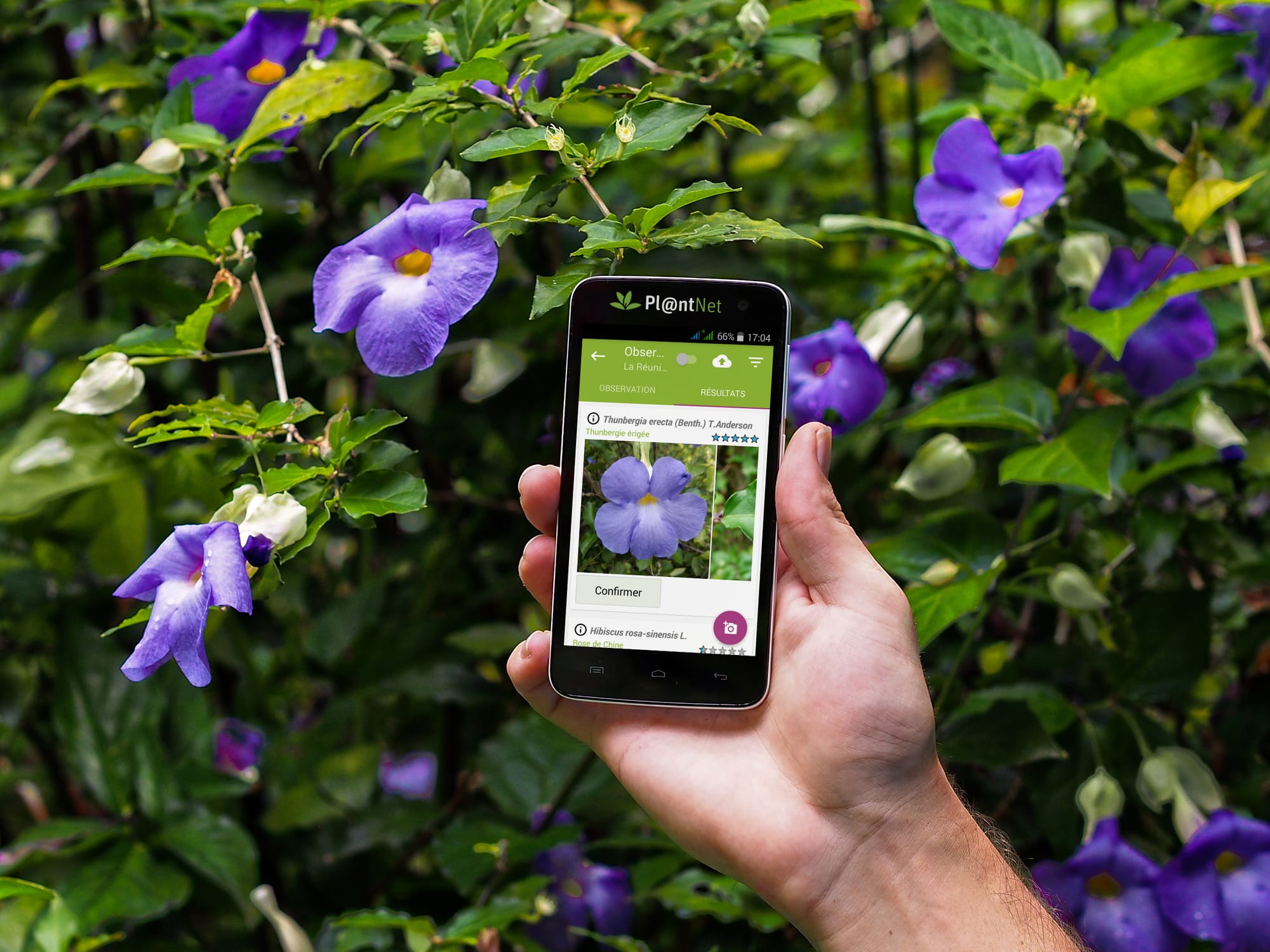 Using AI and Simple Tech to Make People Notice Wetlands Again